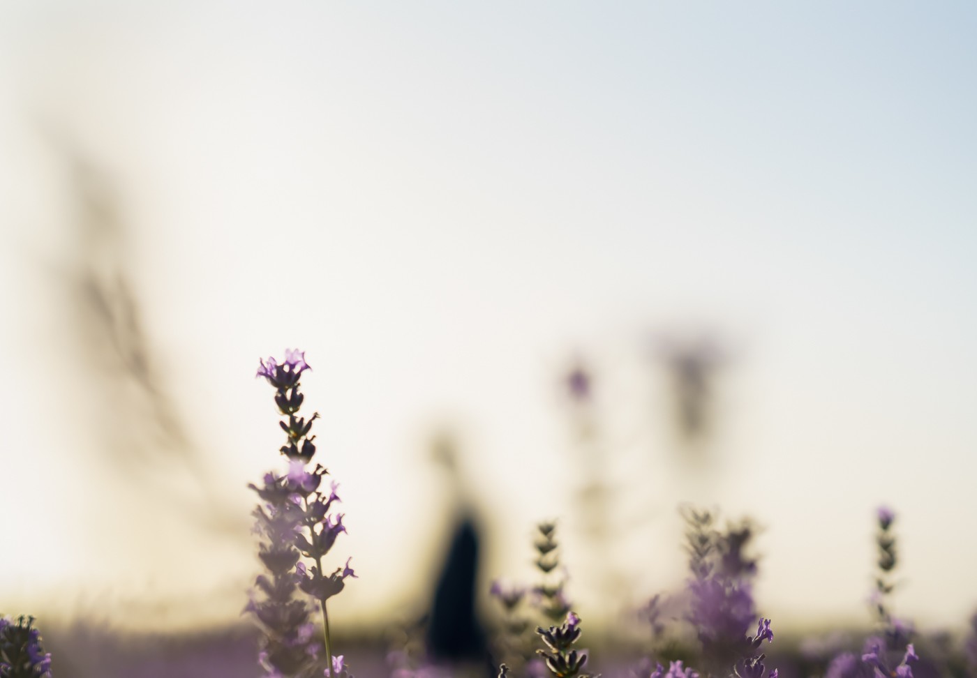 Fotografía_Madrid_Móstoles_Brihuega-68